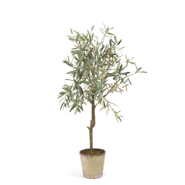 Medium Faux Olive Tree in Pot