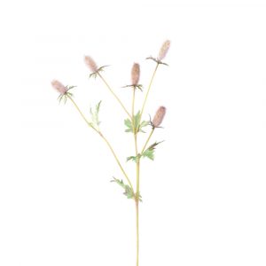 Faux Thistle Stem