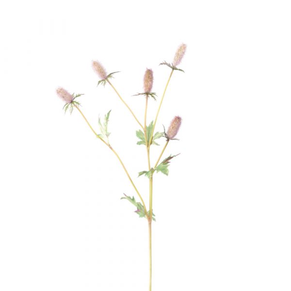 Faux Thistle Stem